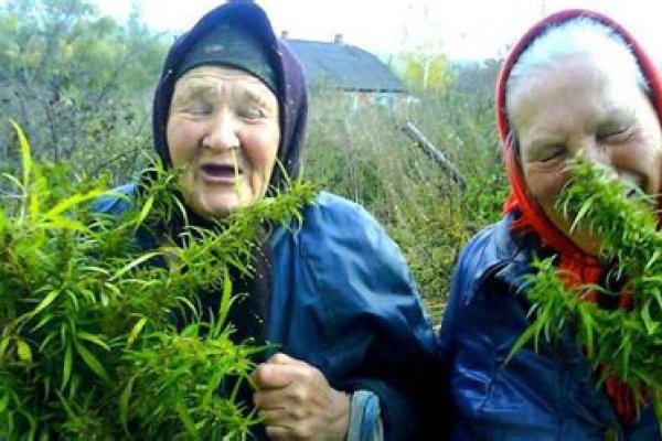 Где найти ссылку на кракен